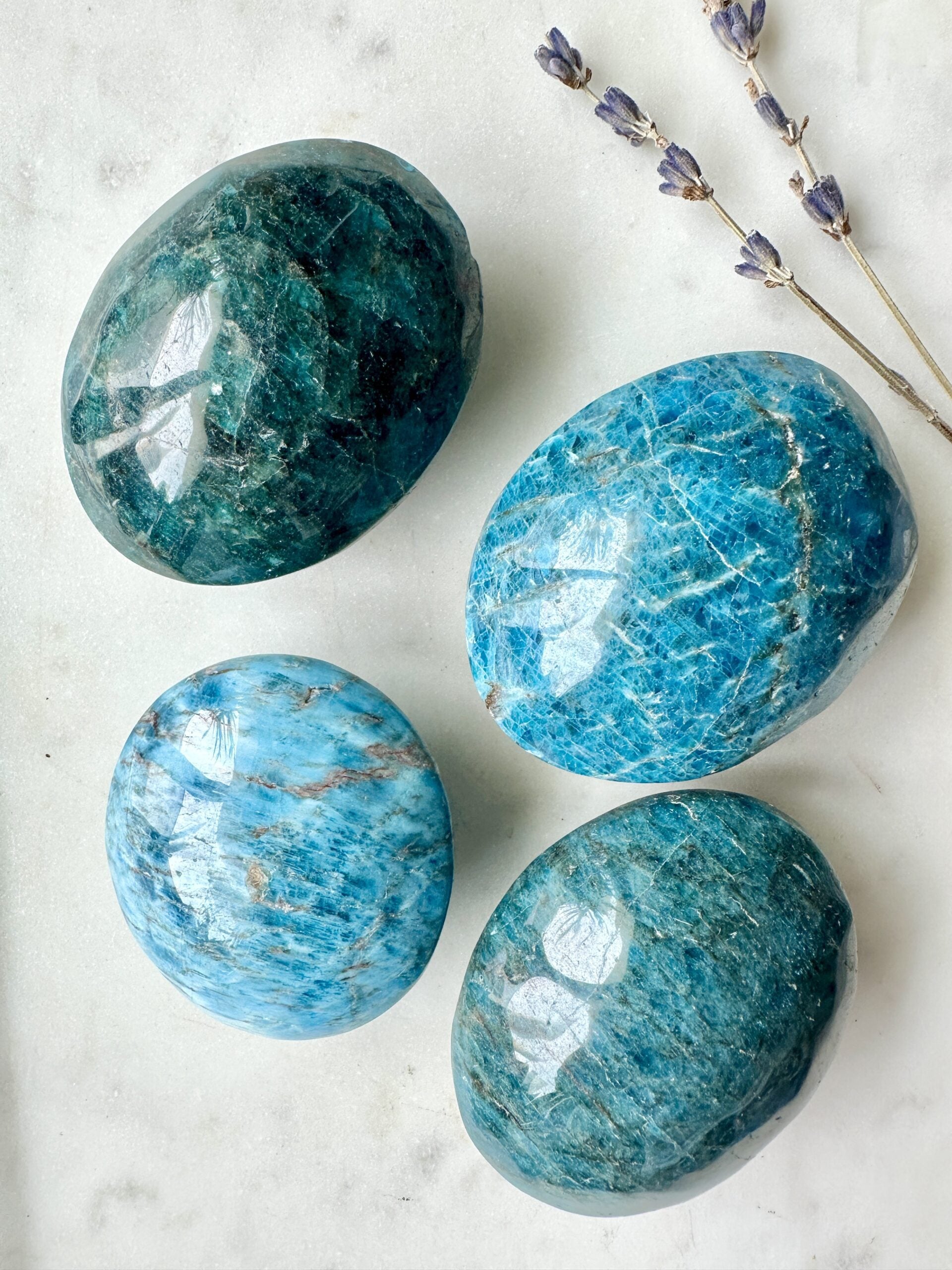 Apatite Palm Stone